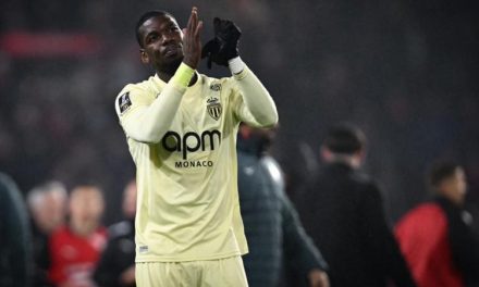 Gelandang Manchester United Paul Pogba Pemain Profesional