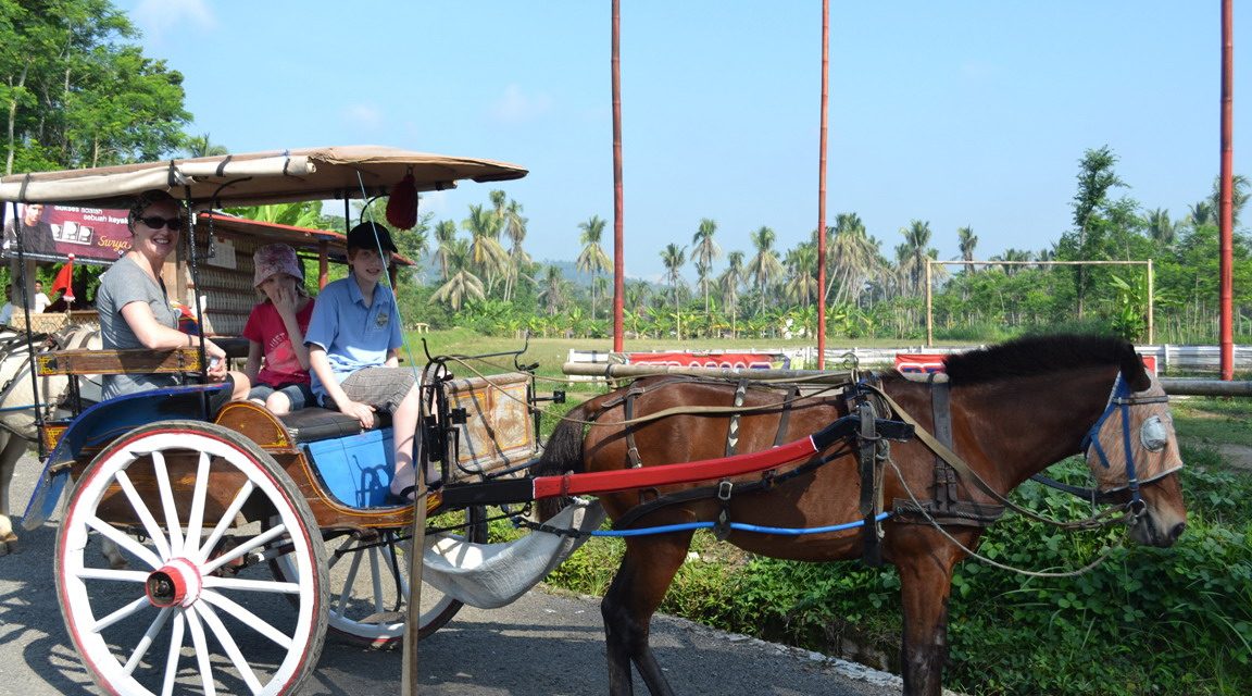 Kendaraan Tradisional Yang Menggunakan Tenaga Seekor Kuda