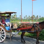 Kendaraan Tradisional Yang Menggunakan Tenaga Seekor Kuda