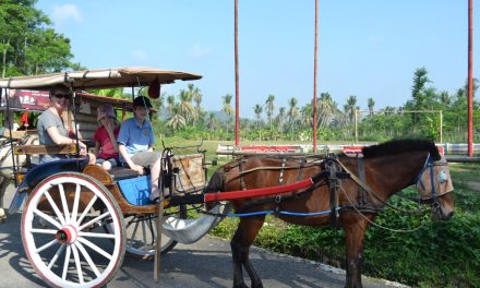 Kendaraan Tradisional Yang Menggunakan Tenaga Seekor Kuda