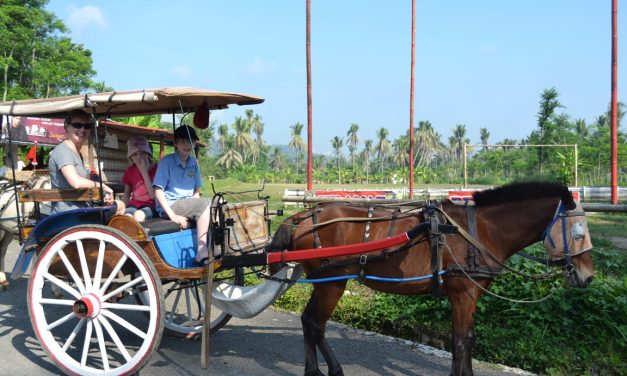 Kendaraan Tradisional Yang Menggunakan Tenaga Seekor Kuda