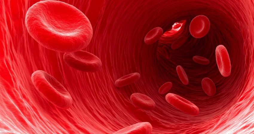 Kondisi Anemia Karena Rendahnya Kadar Hemoglobin