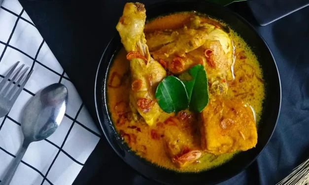 Penggugah Selera Opor Ayam Hidangan Dari Indonesia