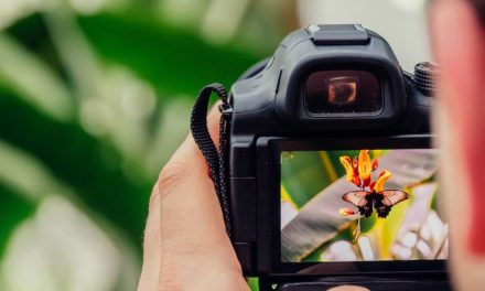 Sebuah Proses Fotografi Dalam Pengambilan Gambar Merekam
