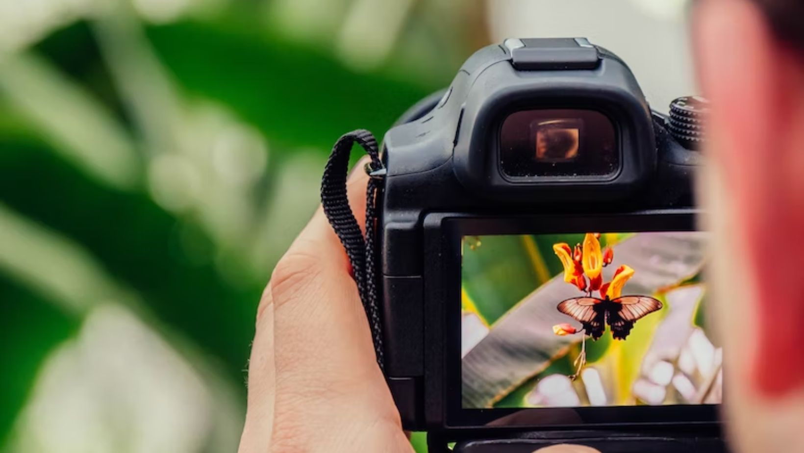 Sebuah Proses Fotografi Dalam Pengambilan Gambar Merekam