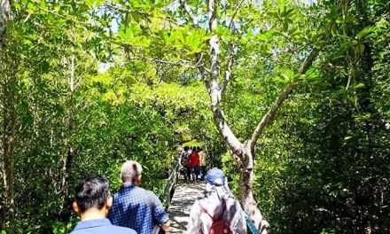 Kawasan Alami Hutan Dengan Berbagai Makhluk Hidup