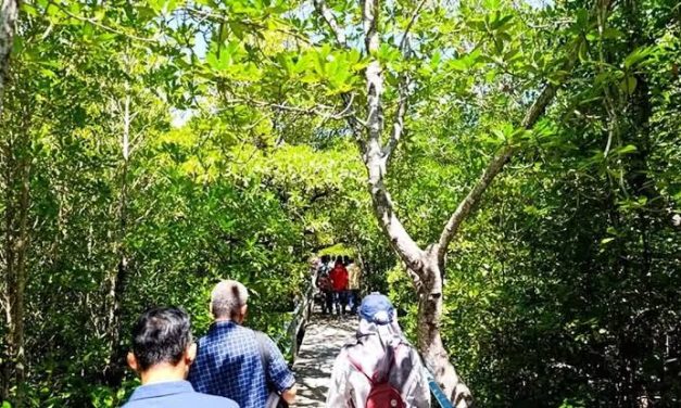 Kawasan Alami Hutan Dengan Berbagai Makhluk Hidup