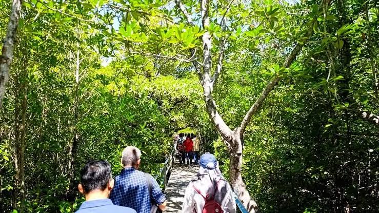 Kawasan Alami Hutan Dengan Berbagai Makhluk Hidup
