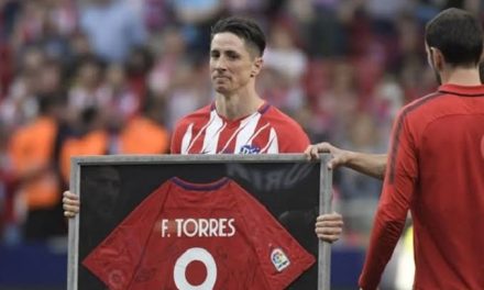 Pemain Profesional Sepakbola Seorang Fernando Torres