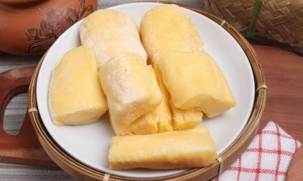 Makanan Fermentasi Tape Dari Tanaman Singkong